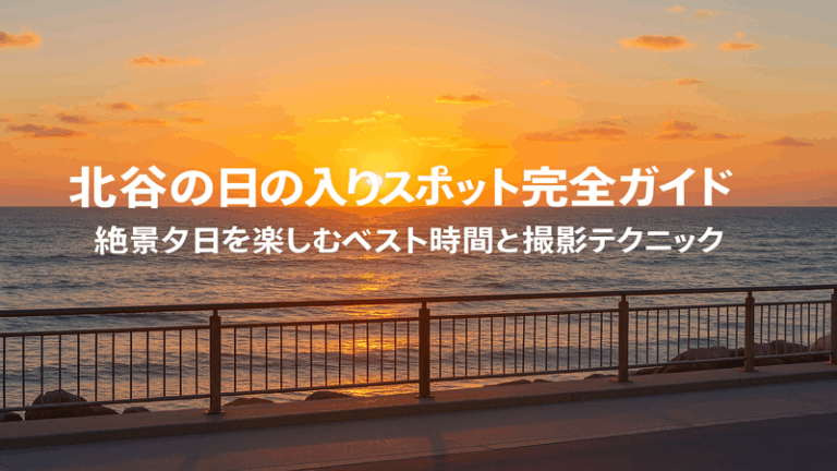 contents_id_1111_20250726162018_eyecatch