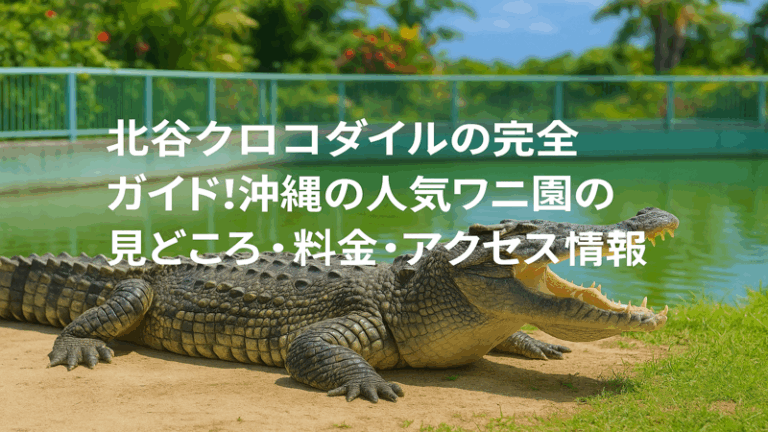 contents_id_1144_20250728041808_eyecatch