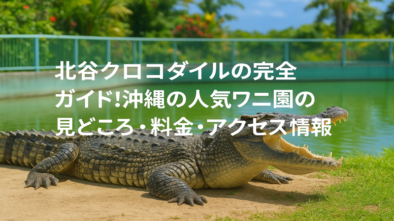 contents_id_1144_20250728041808_eyecatch