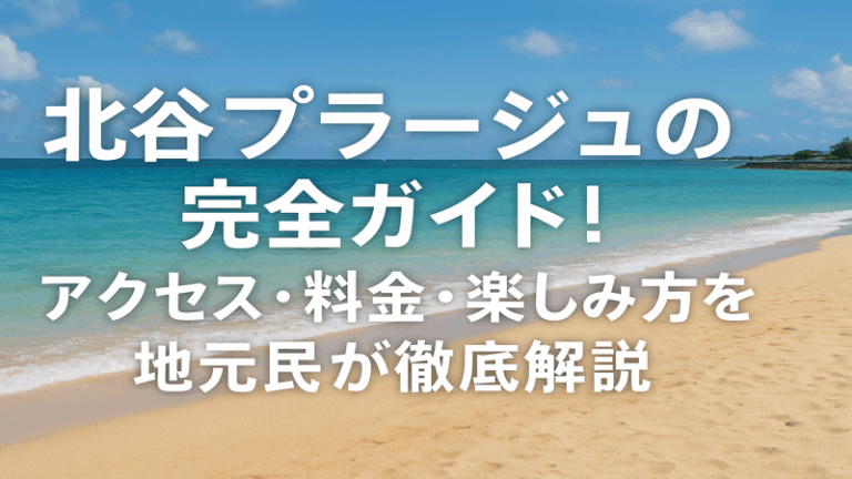 contents_id_1194_20250728141751_eyecatch