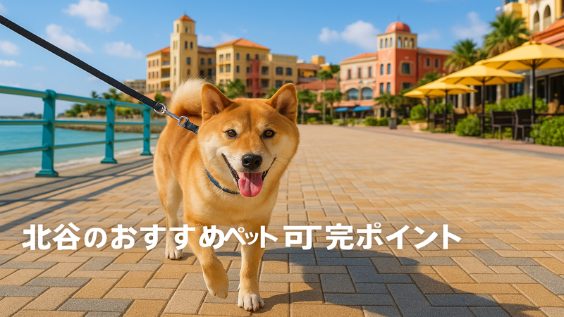 3.北谷でペットと楽しめる周辺スポット