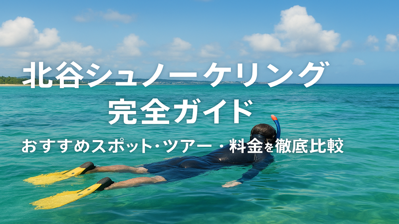 contents_id_1210_20250728190523_eyecatch