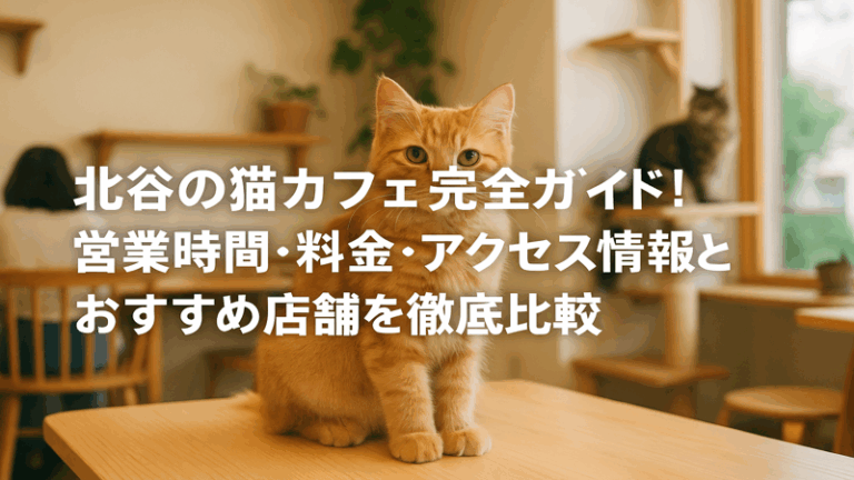 contents_id_1313_20250729180523_eyecatch