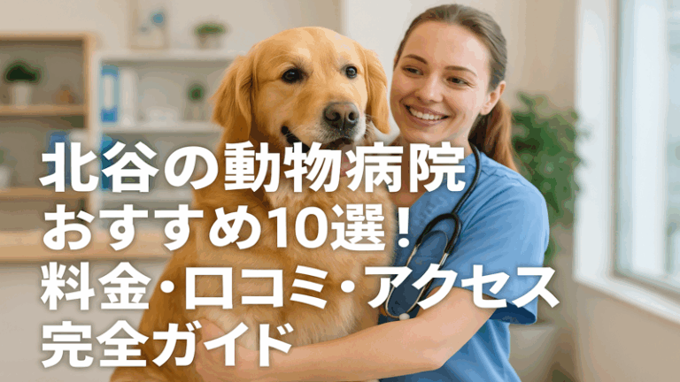 contents_id_1323_20250802192350_eyecatch