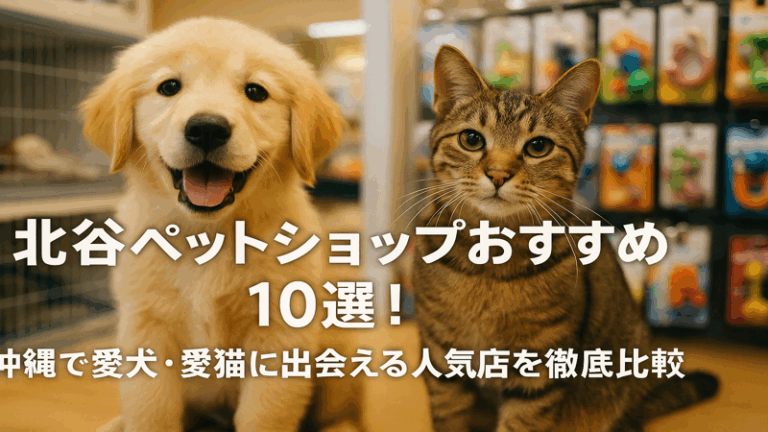 contents_id_1328_20250729220628_eyecatch