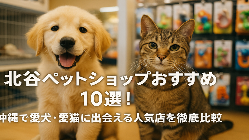 contents_id_1328_20250729220628_eyecatch