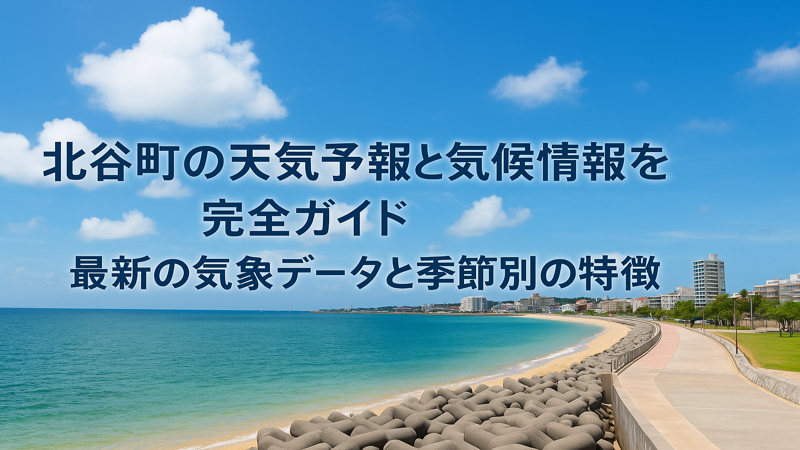 contents_id_1447_20250802180909_eyecatch