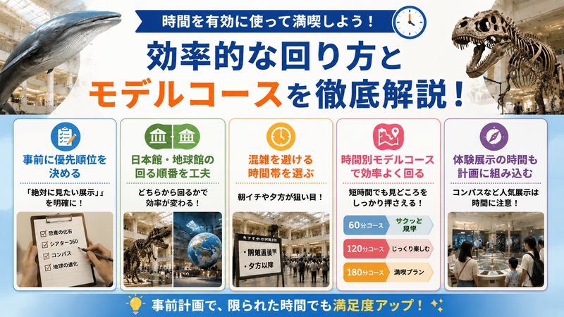 3.所要時間を無駄にしない!効率的な回り方とモデルコース